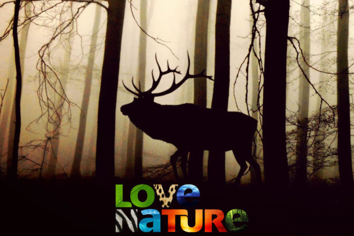 Služba SledovaniTV přináší březnové promo vysílání tří programů včetně Love Nature ve 4K