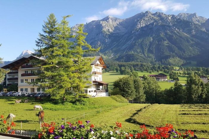 Je volný satelitní příjem vhodný pro menší hotel nebo penzion?